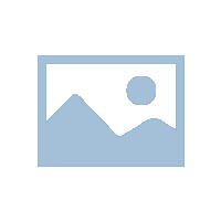 祝大家元旦快乐